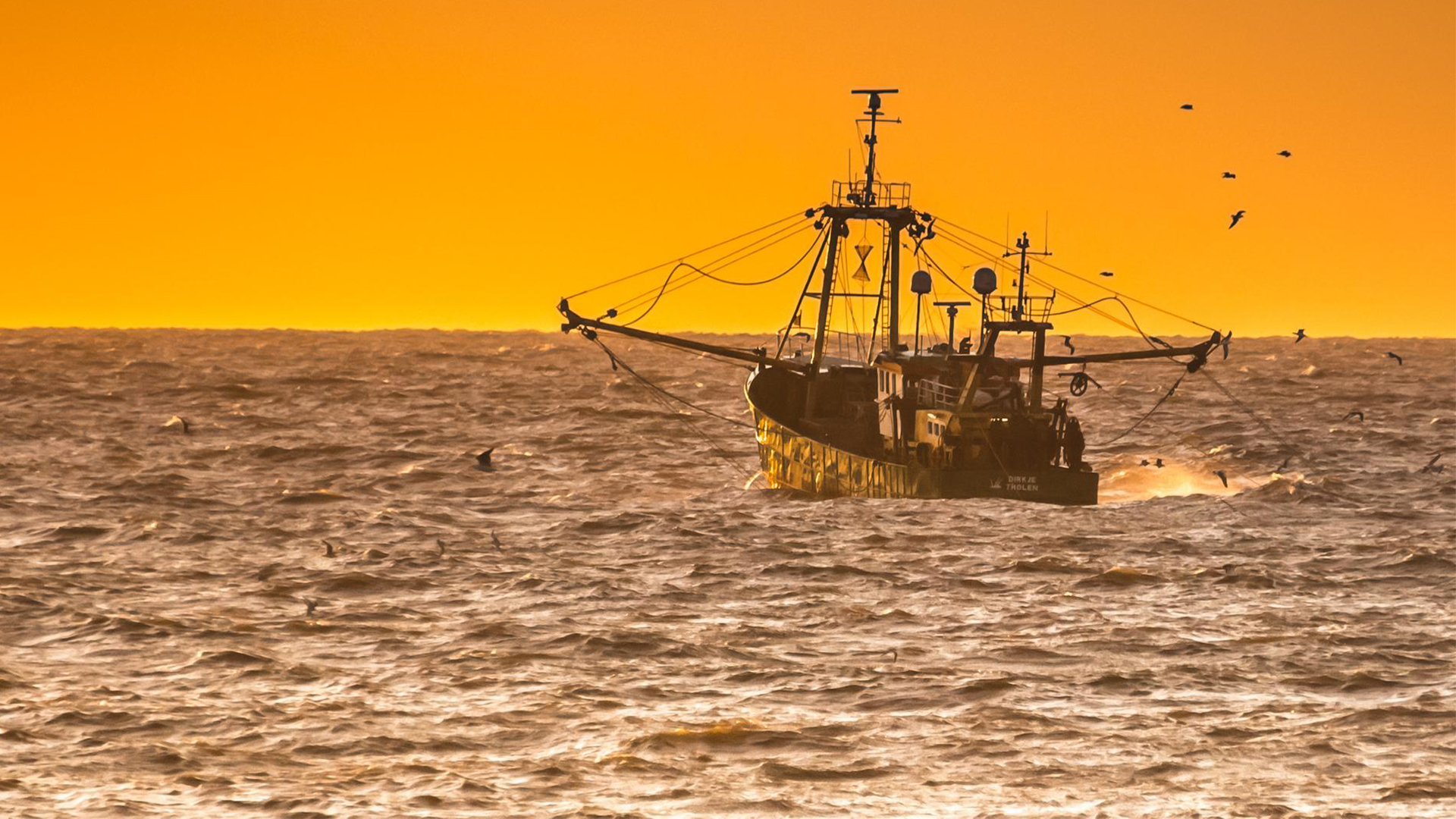 Foto van een vissersboot op de Noordzee. Vertegenwoordigers van de visserij zijn uit het overleg gestapt en hebben het Noordzeeakkoord in de eerste instantie niet ondertekend. Voorzitter Sybilla Dekker heeft de visserij toch weer aan tafel gekregen.